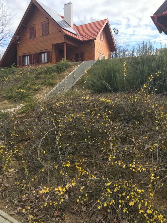 Boejti Pince Apartment Tormafolde Exterior foto